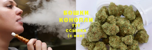 СК Елизово