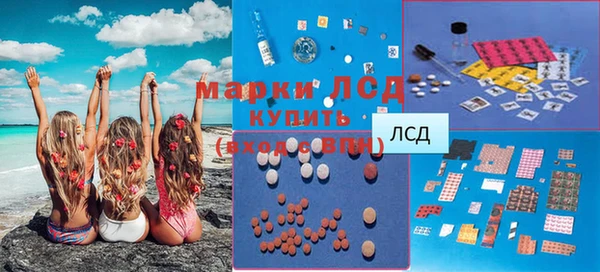 СК Елизово