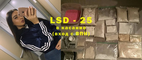 СК Елизово