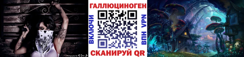 наркотики  Находка  Галлюциногенные грибы Cubensis 